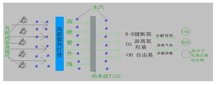 UV guangcuihua yuanlitu.jpg